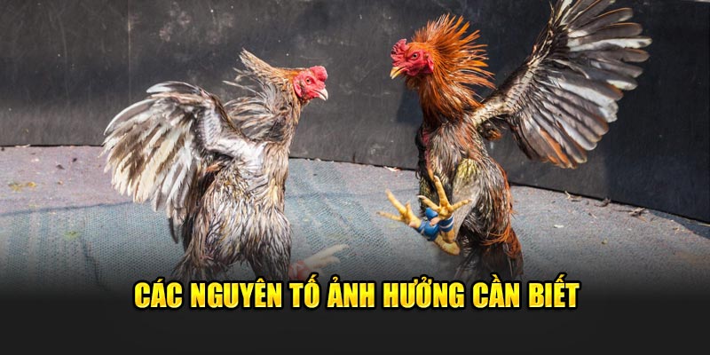 Các nguyên tố quan trọng