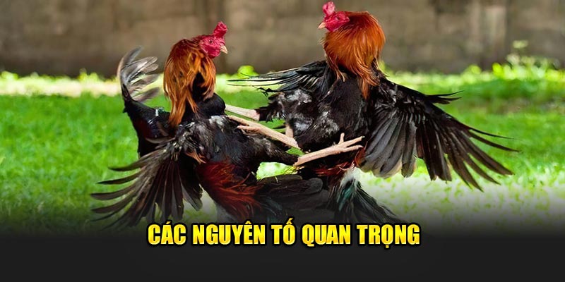 Các nguyên tố ảnh hưởng cần biết